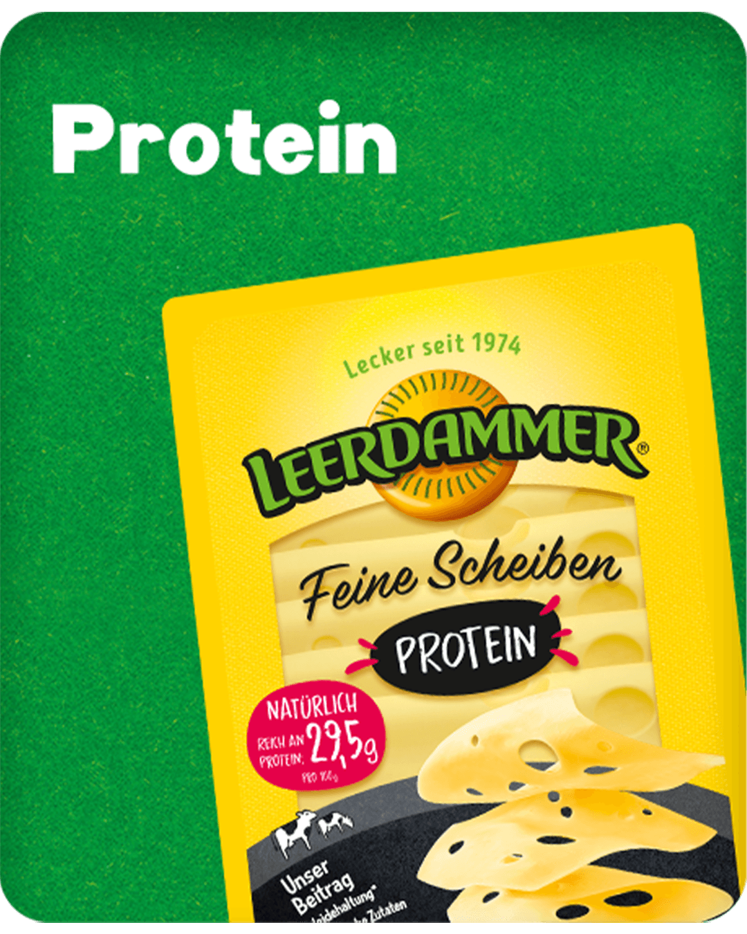Leerdammer Protein
